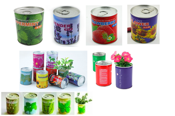 Eco Friendly | Branded Tin Plants - 6 